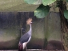 IMG_4408 (480x640)